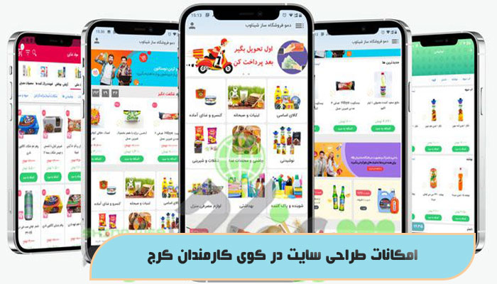 امکانات طراحی سایت در کوی کارمندان کرج