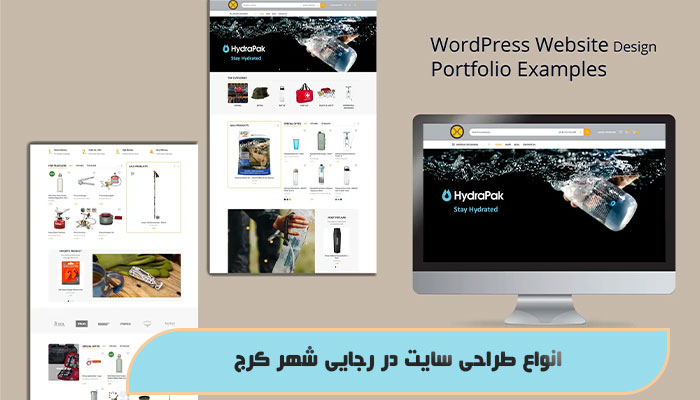 انواع طراحی سایت در رجایی شهر کرج