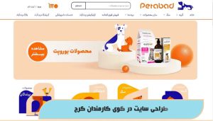 طراحی سایت در کوی کارمندان کرج